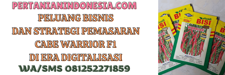 peluang,bisnis,pemasaran,cabai,cabai besar,pertanian indonesia